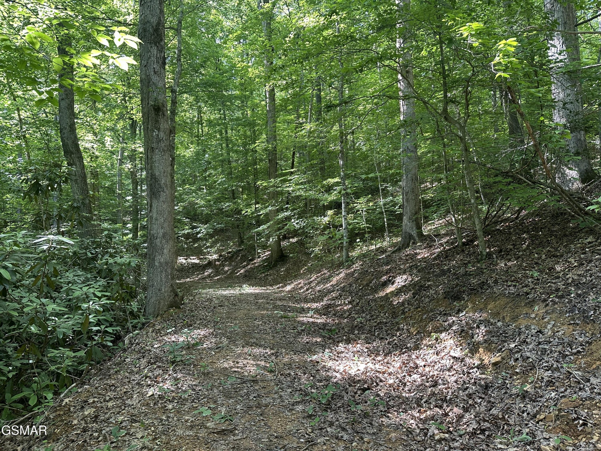 0 Little Bear Road Cosby, TN 37722 - Photo 24 of 46 Gallery Image 24