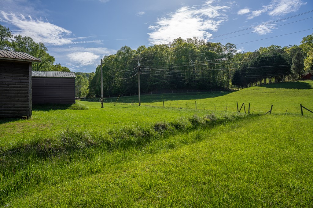 564 Wright Road Murphy, NC 28906 - Photo 14 of 36 a view of a backyard with plants and a fountain