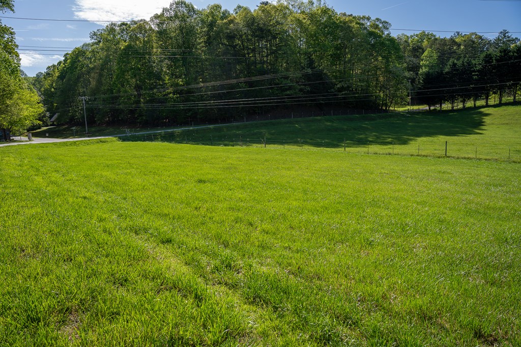 564 Wright Road Murphy, NC 28906 - Photo 15 of 36 a view of a backyard