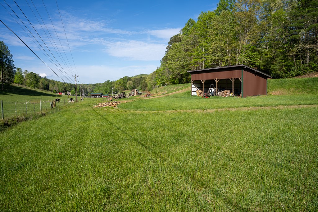 564 Wright Road Murphy, NC 28906 - Photo 22 of 36 a view of a big yard with large trees