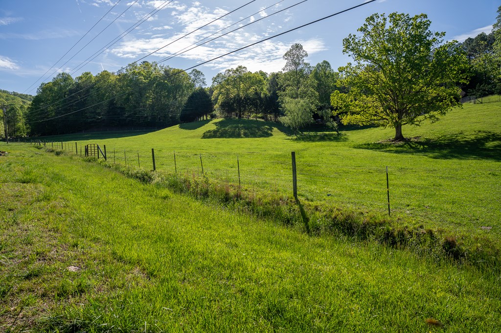564 Wright Road Murphy, NC 28906 - Photo 29 of 36 a view of a park with large trees