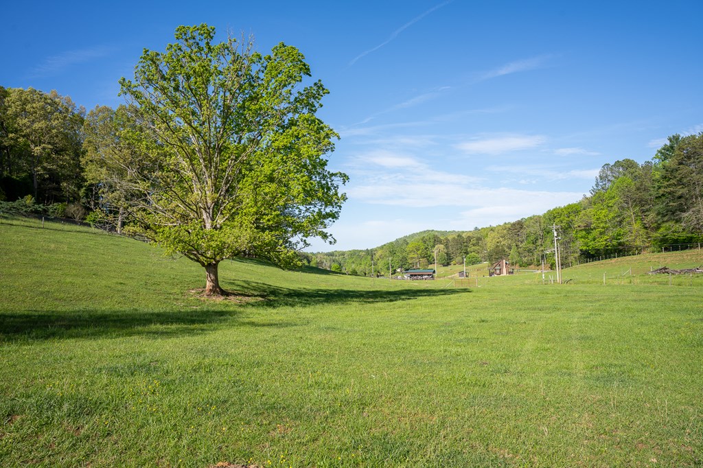 564 Wright Road Murphy, NC 28906 - Photo 31 of 36 a view of an outdoor space and a yard
