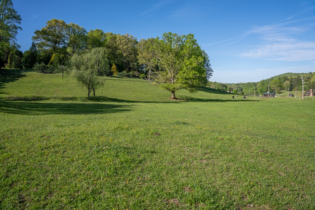 564 Wright Road Murphy, NC 28906 - Photo 35 of 36 a view of a field with a tree
