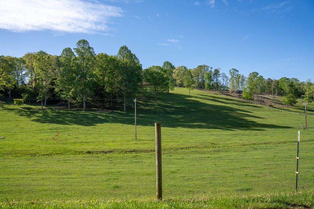 564 Wright Road Murphy, NC 28906 - Photo 36 of 36 a backyard of a house with lots of green space