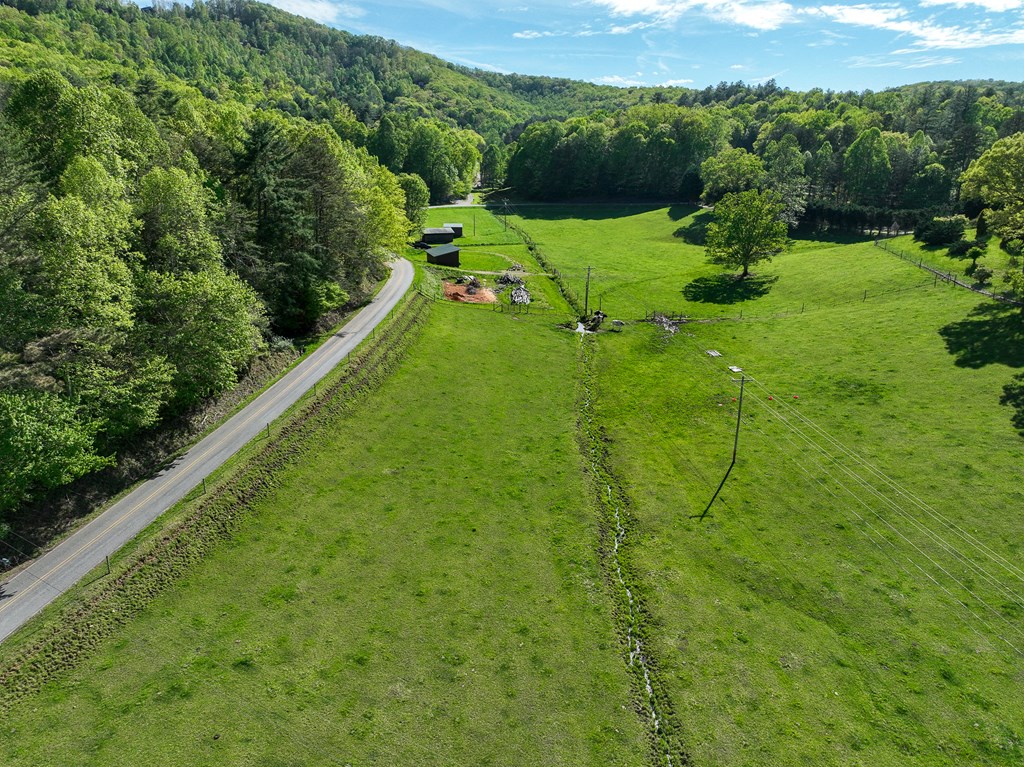 564 Wright Road Murphy, NC 28906 - Photo 10 of 36 a view of a green yard with large trees