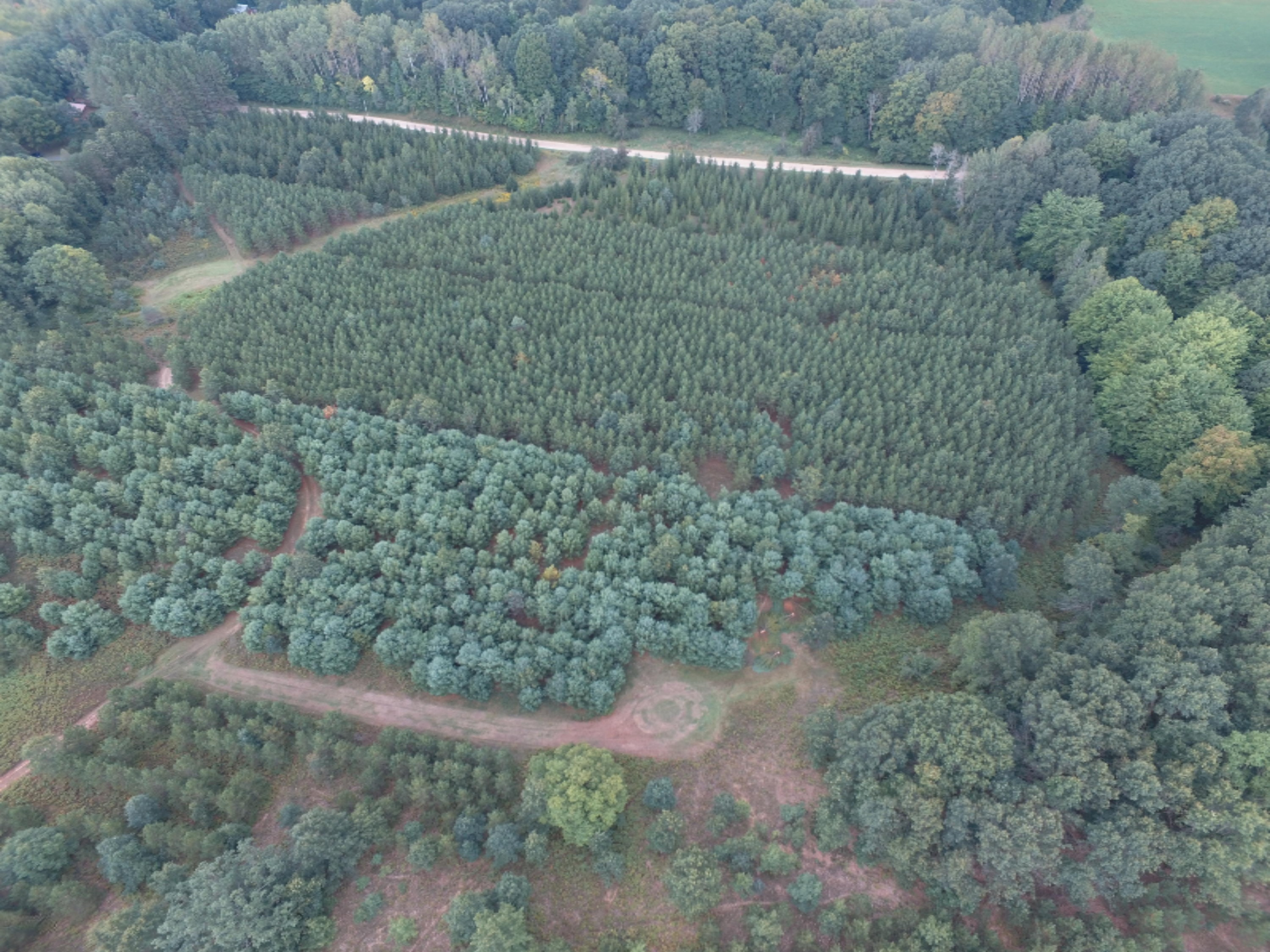 0 East Wilson Road Custer, MI 49405 - Photo 1 of 21 DJI_0266