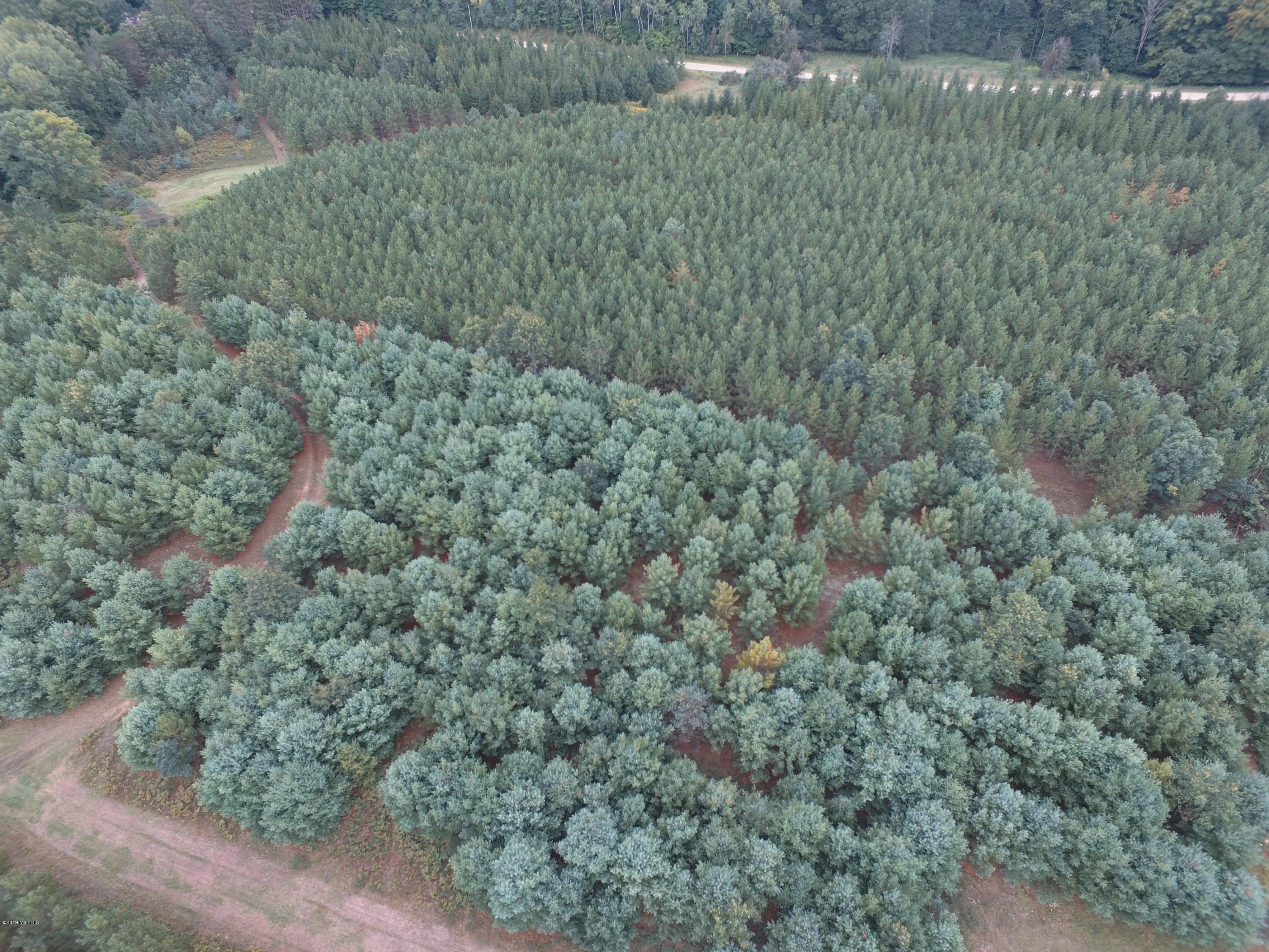 0 East Wilson Road Custer, MI 49405 - Photo 13 of 21 DJI_0282