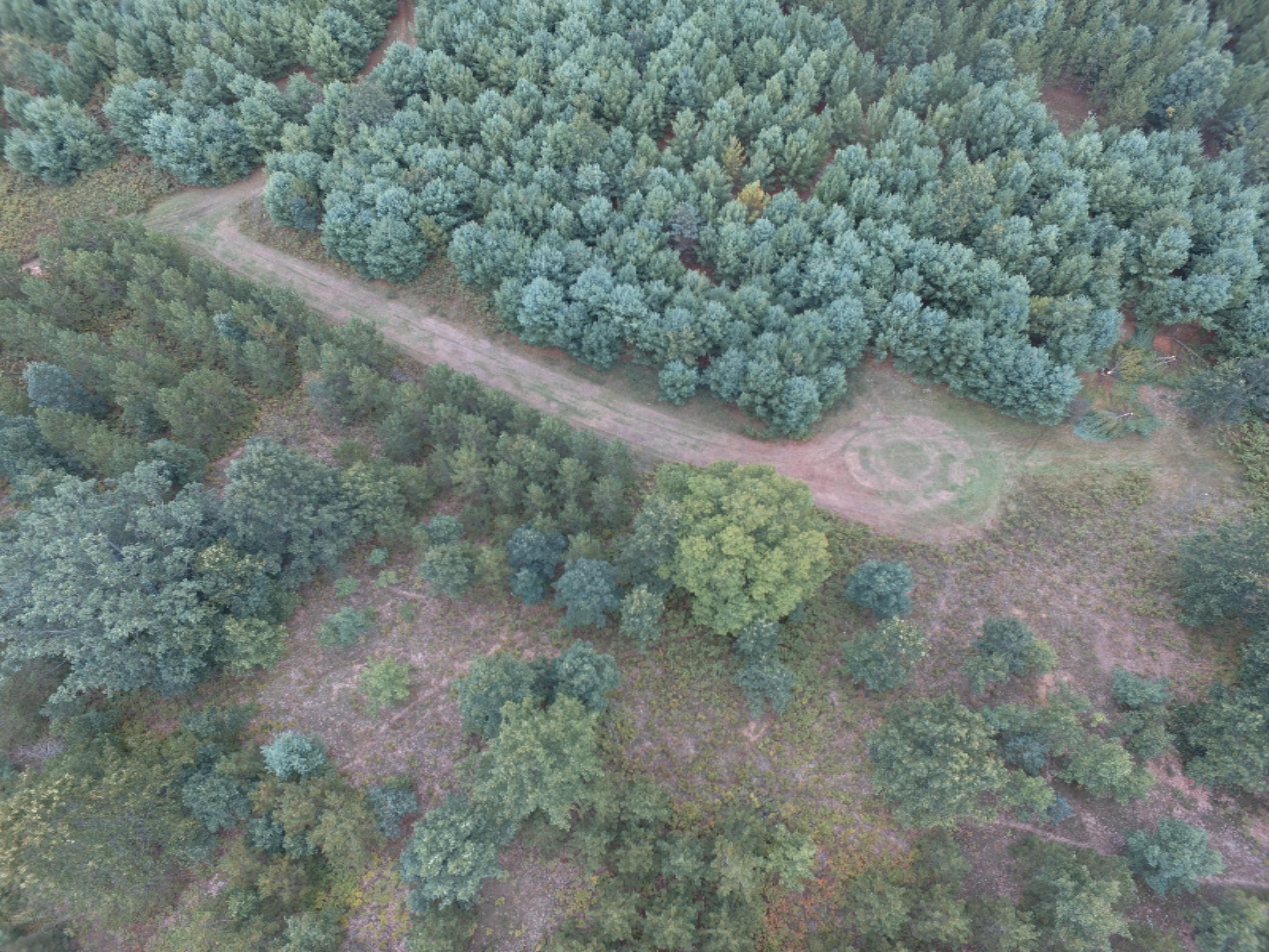 0 East Wilson Road Custer, MI 49405 - Photo 16 of 21 DJI_0276