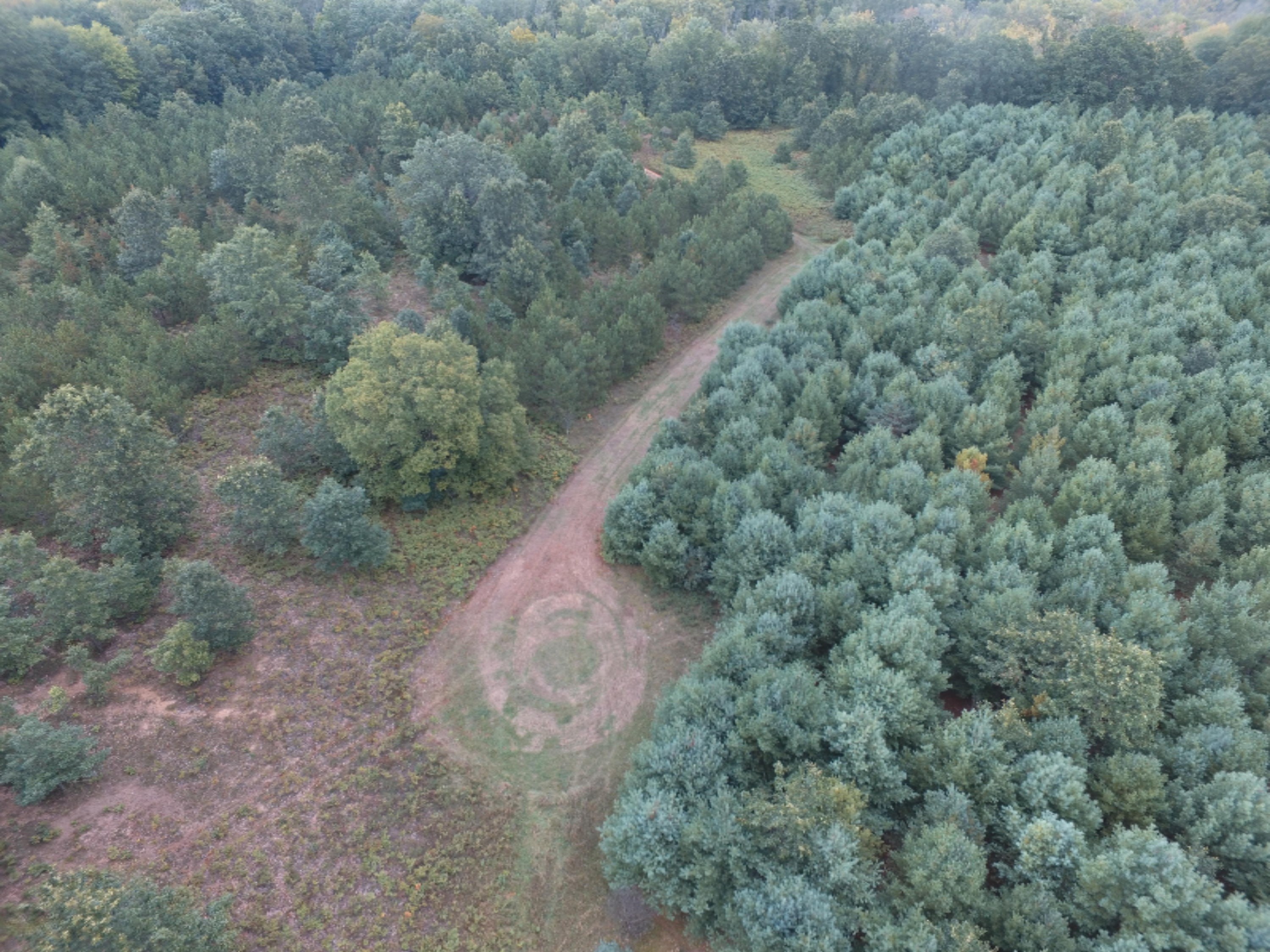 0 East Wilson Road Custer, MI 49405 - Photo 17 of 21 DJI_0275