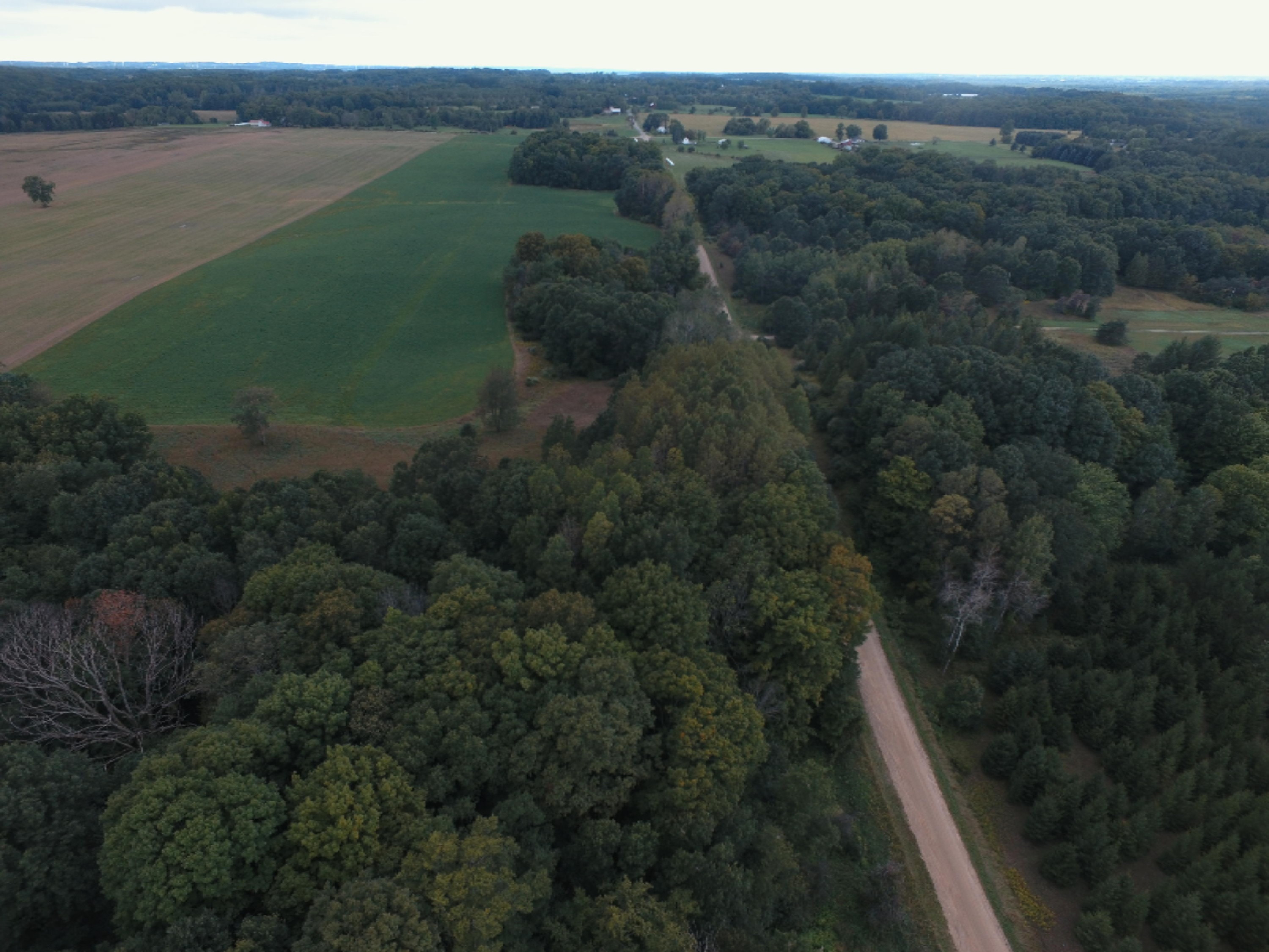 0 East Wilson Road Custer, MI 49405 - Photo 19 of 21 DJI_0269