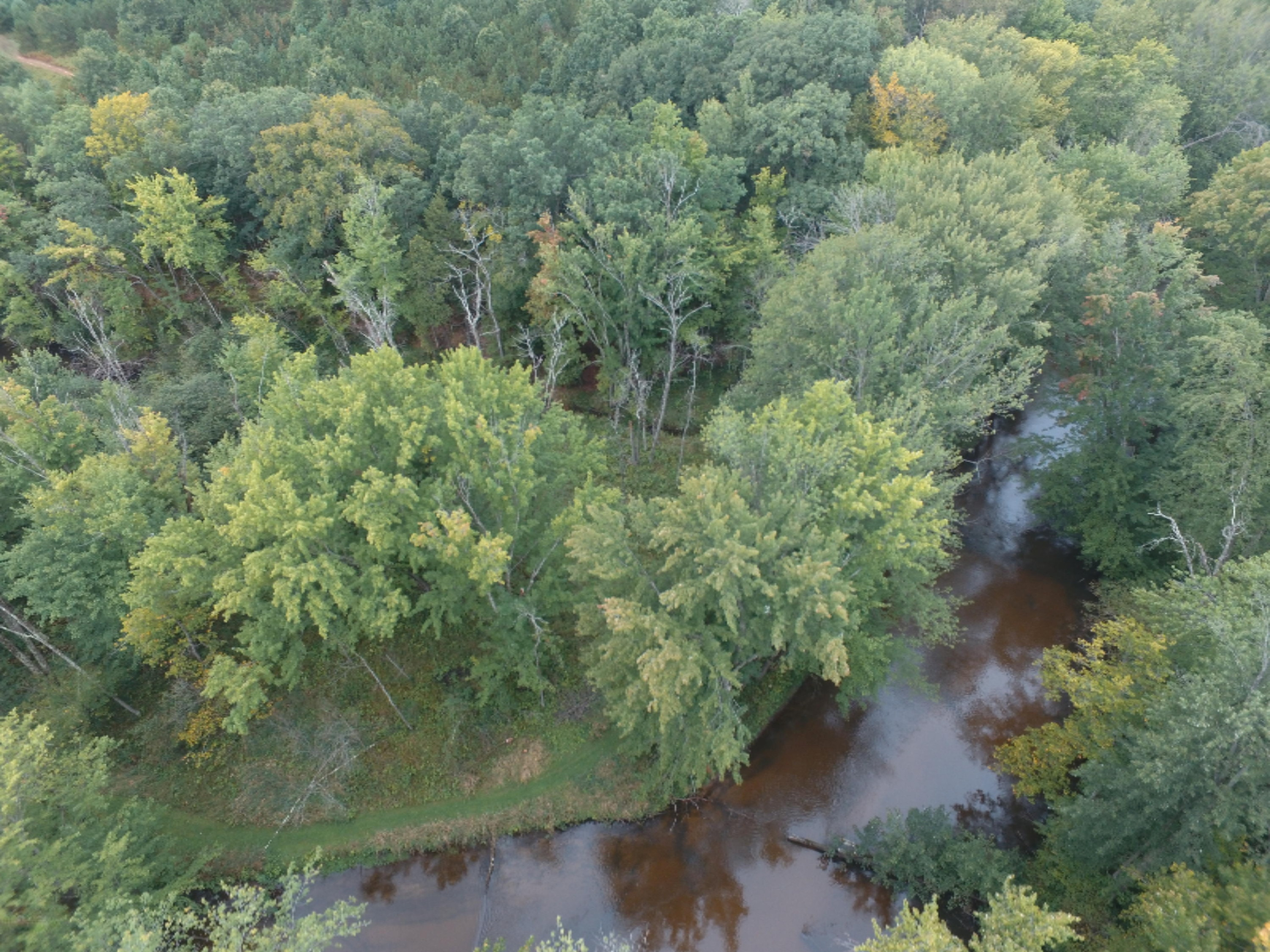 0 East Wilson Road Custer, MI 49405 - Photo 20 of 21 DJI_0263