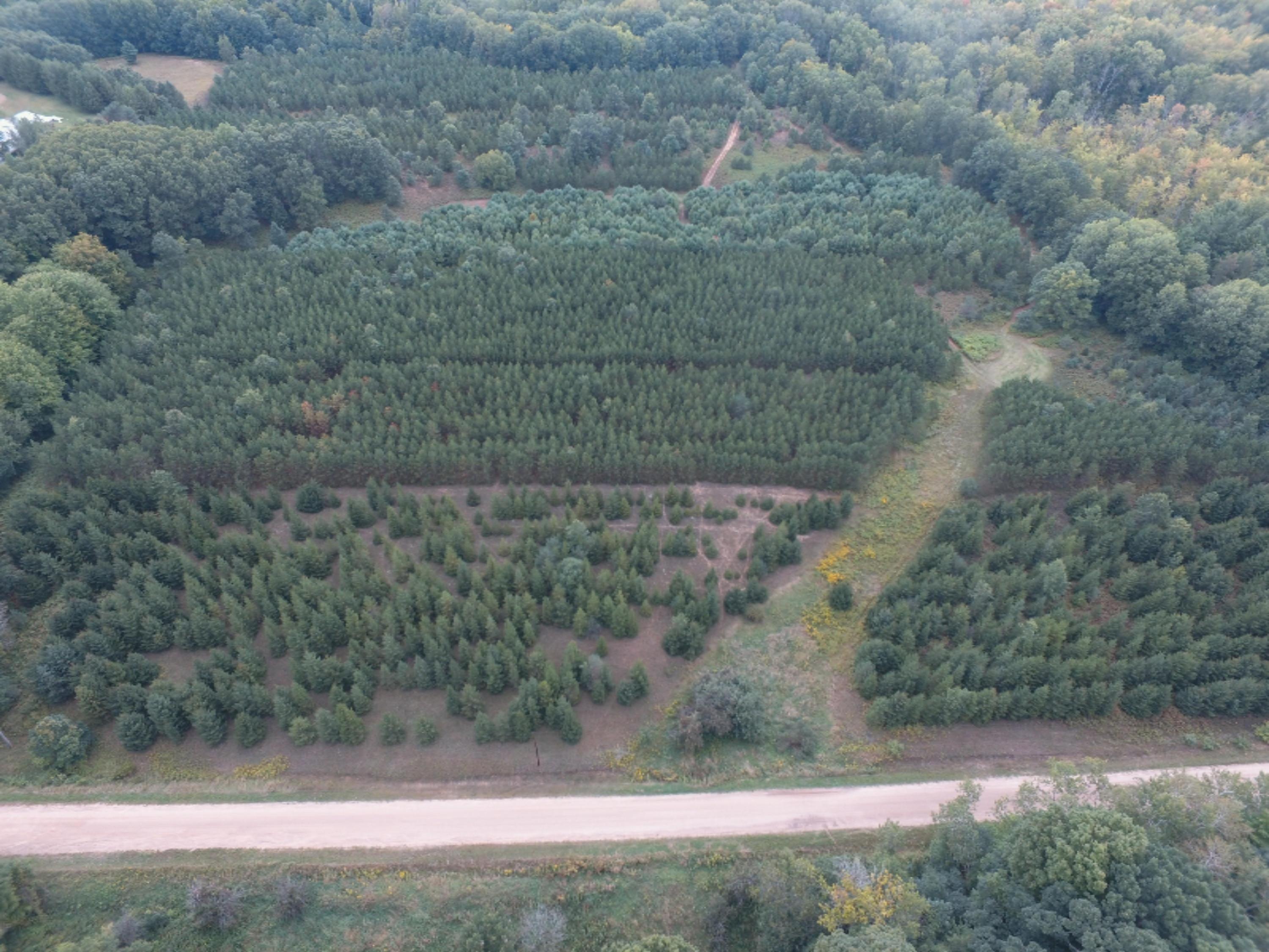 0 East Wilson Road Custer, MI 49405 - Photo 2 of 21 DJI_0268
