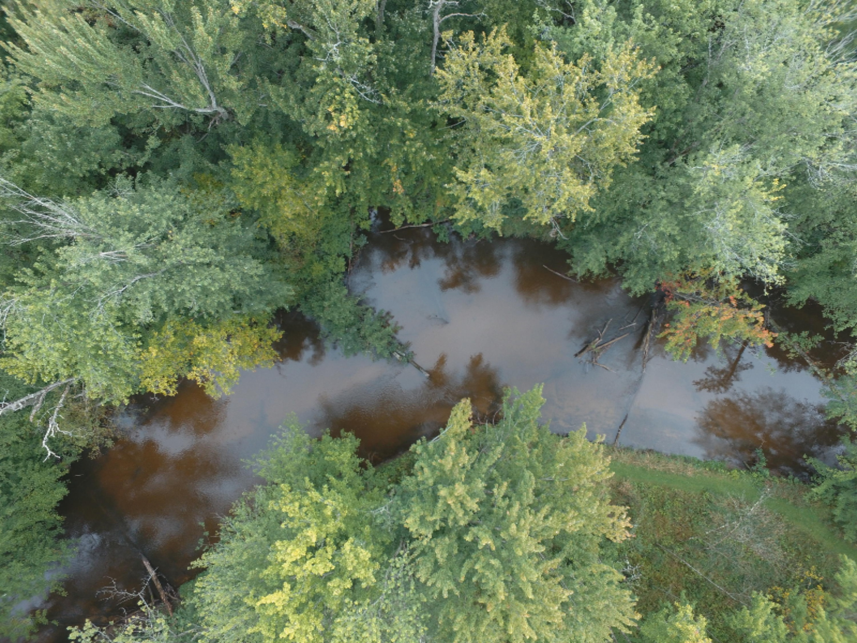 0 East Wilson Road Custer, MI 49405 - Photo 21 of 21 DJI_0258