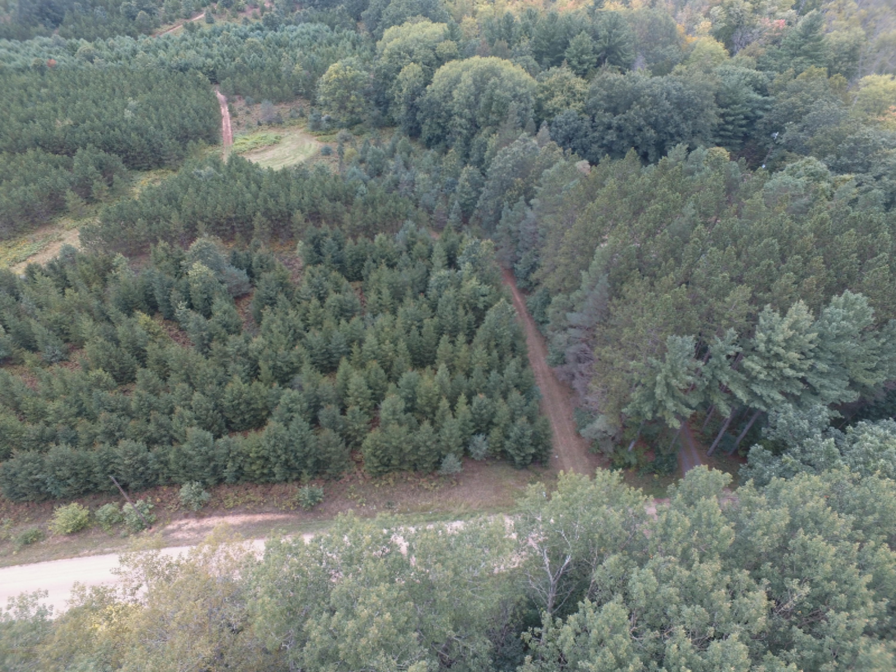 0 East Wilson Road Custer, MI 49405 - Photo 3 of 21 DJI_0283