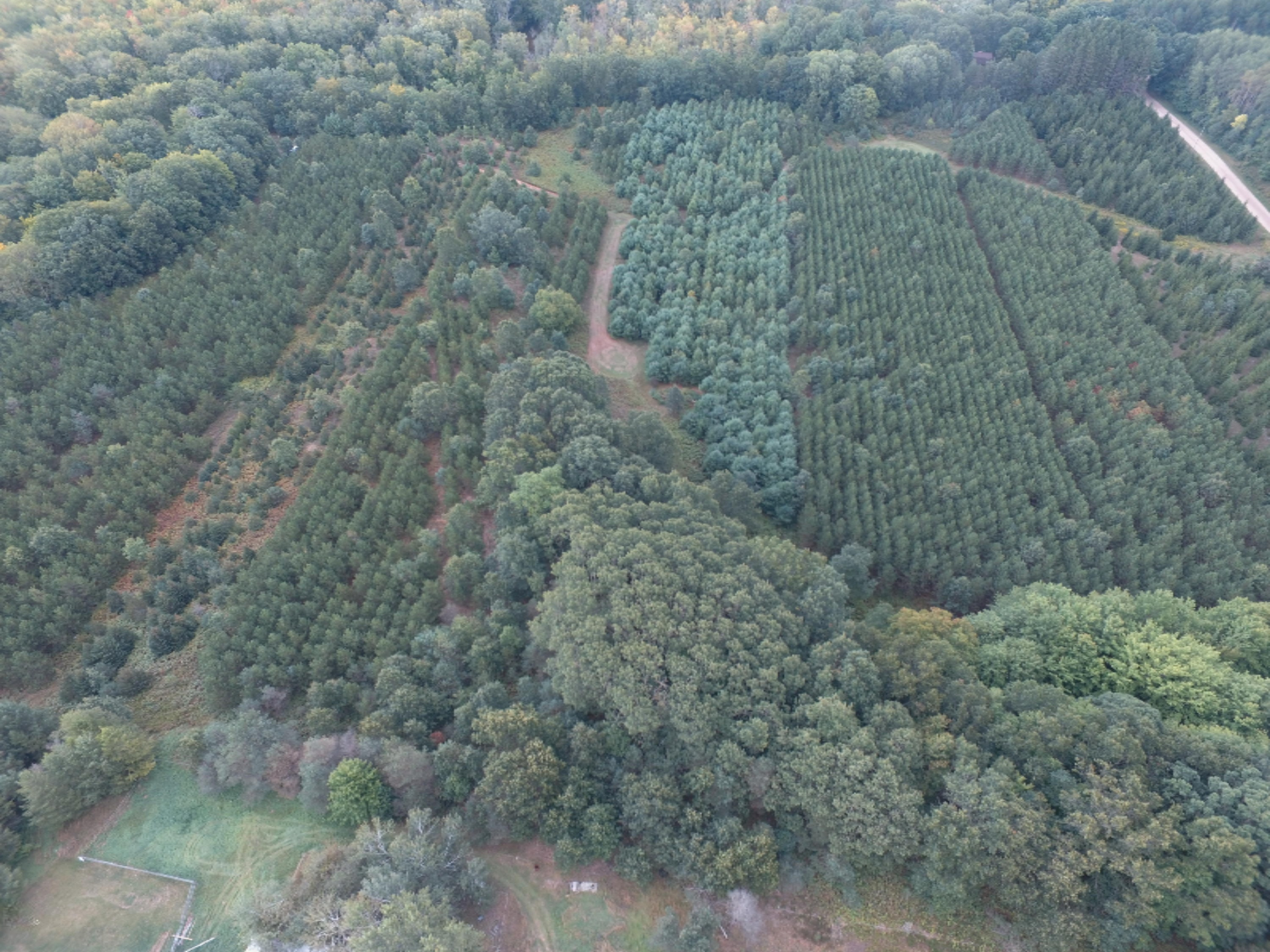 0 East Wilson Road Custer, MI 49405 - Photo 4 of 21 DJI_0267