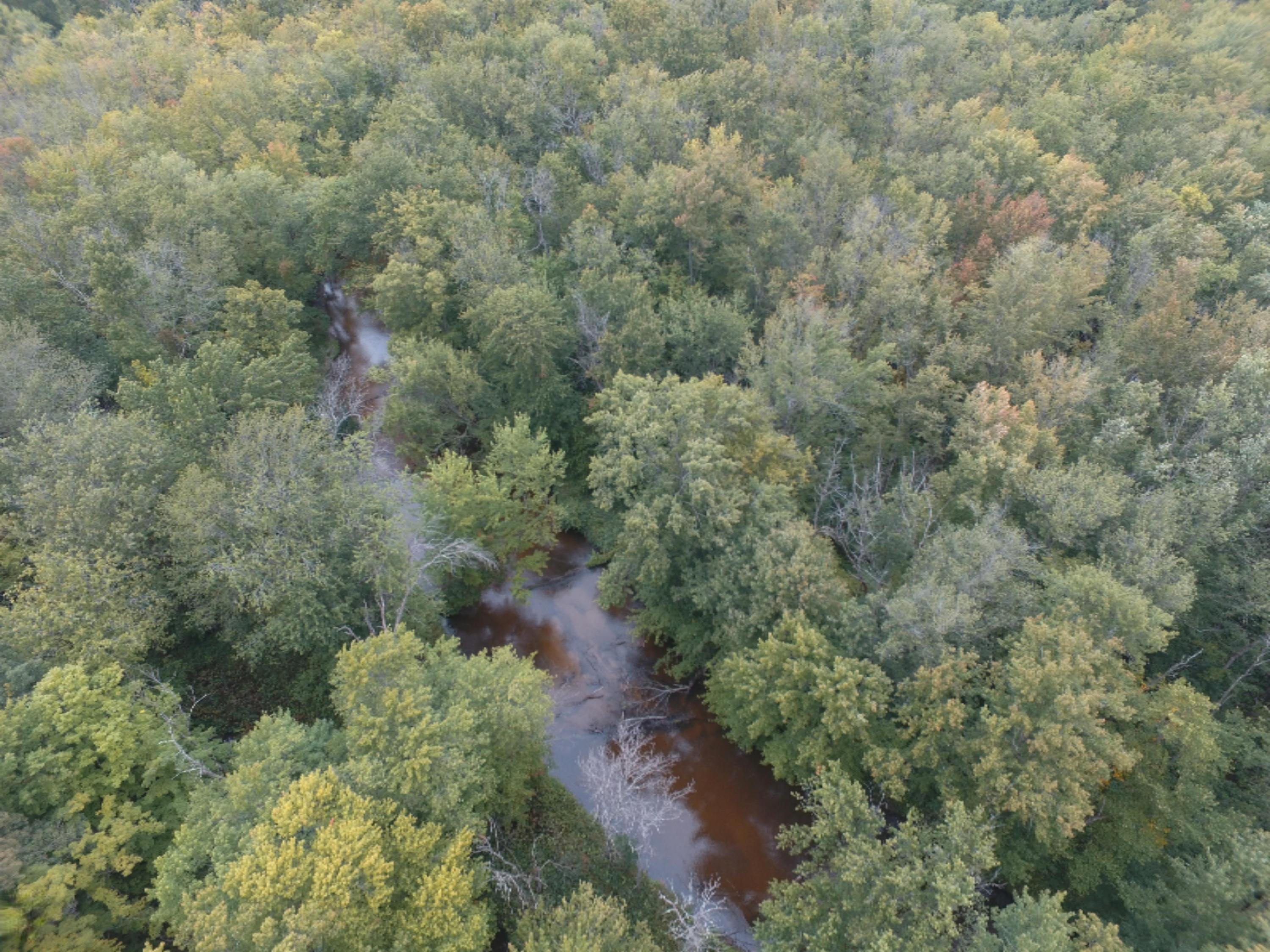 0 East Wilson Road Custer, MI 49405 - Photo 7 of 21 DJI_0290