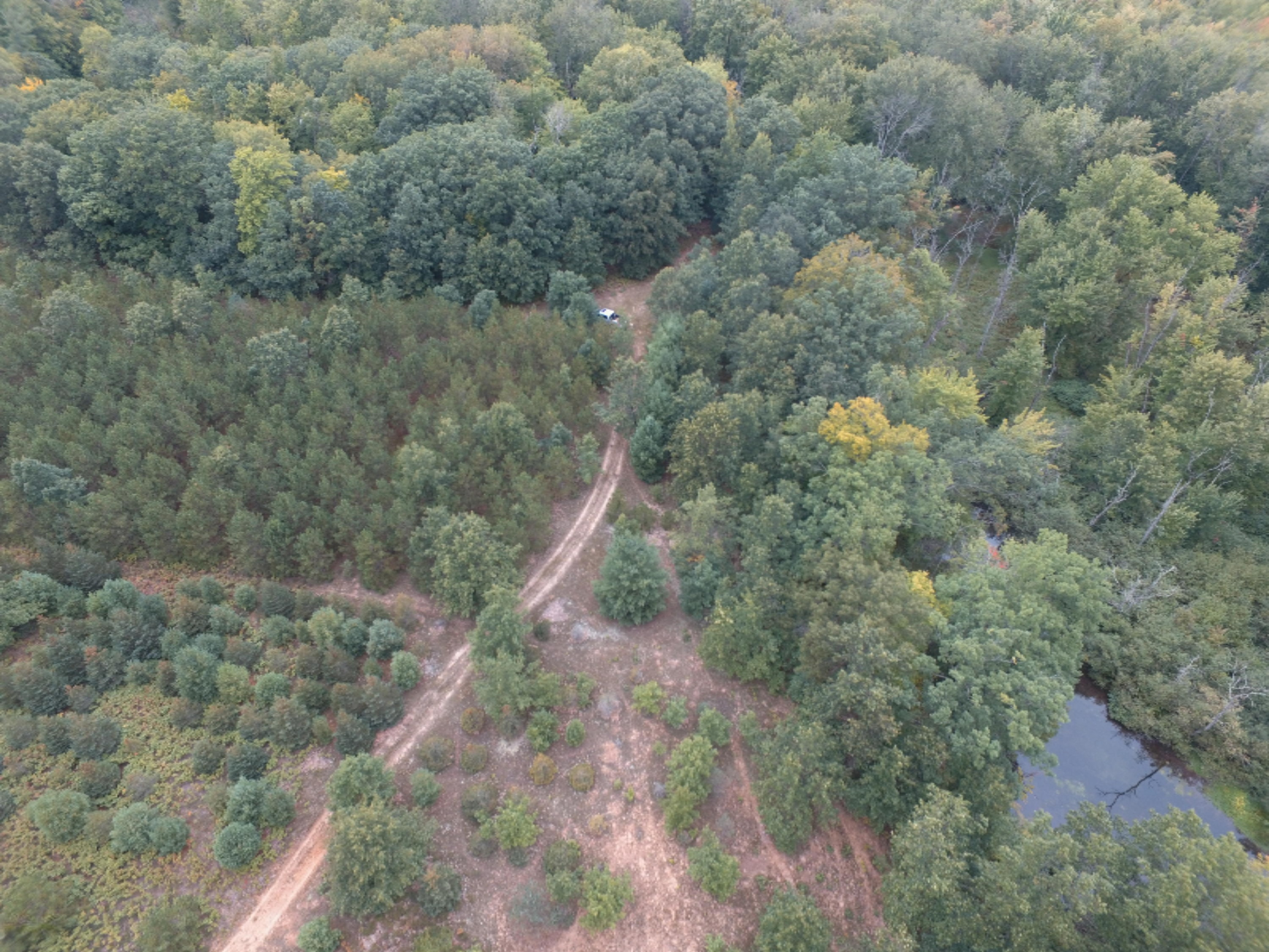 0 East Wilson Road Custer, MI 49405 - Photo 9 of 21 DJI_0287