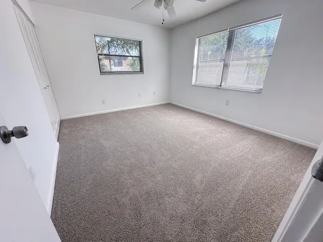 a view of a backyard with plants