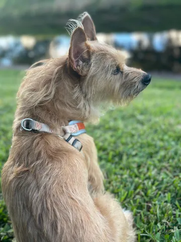 a view of a lake with houses