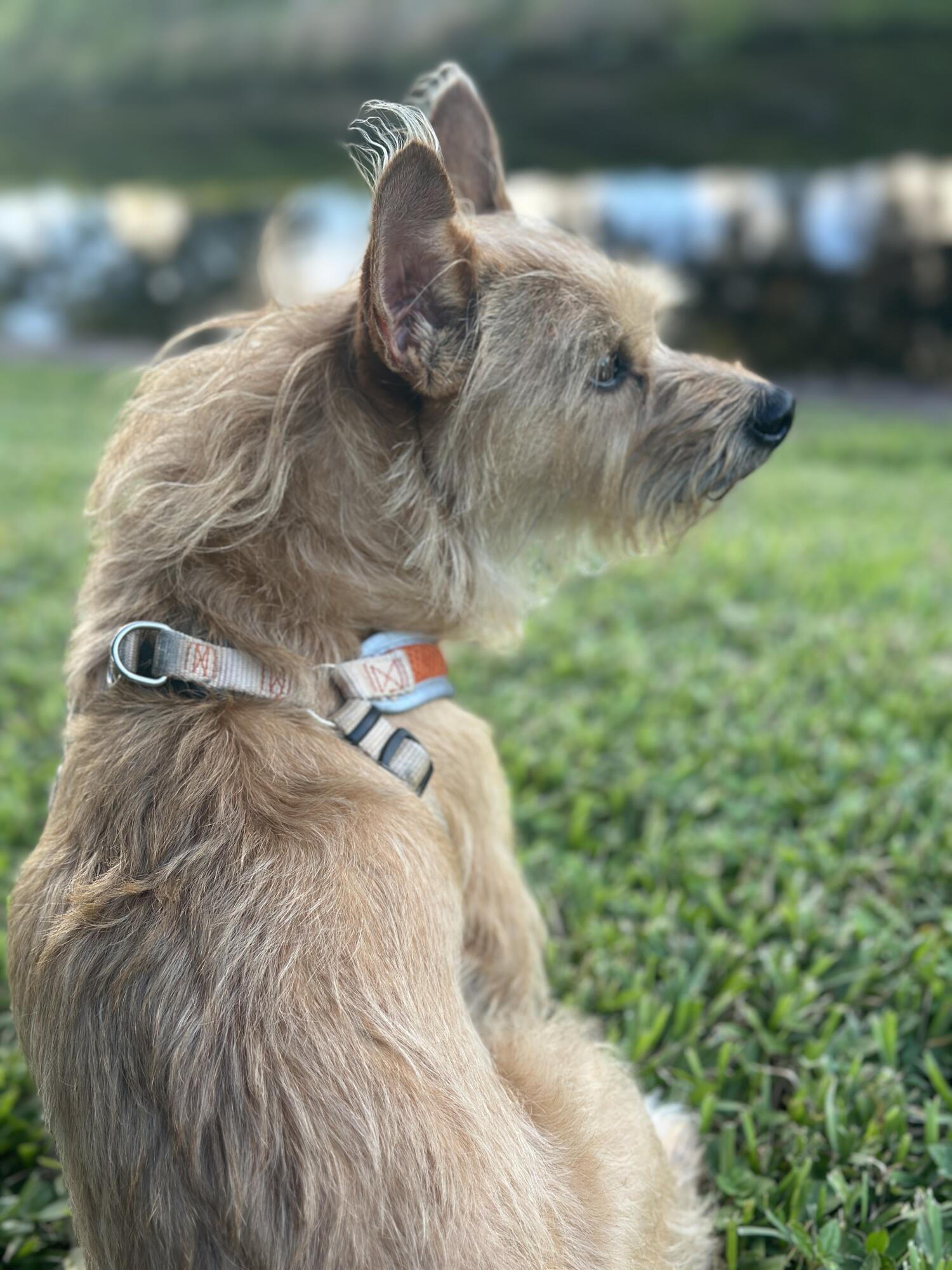 3130 Southwest 20th Terrace, Unit 13B1 Delray Beach, FL 33445 - Photo 34 of 47 a close up of a sink