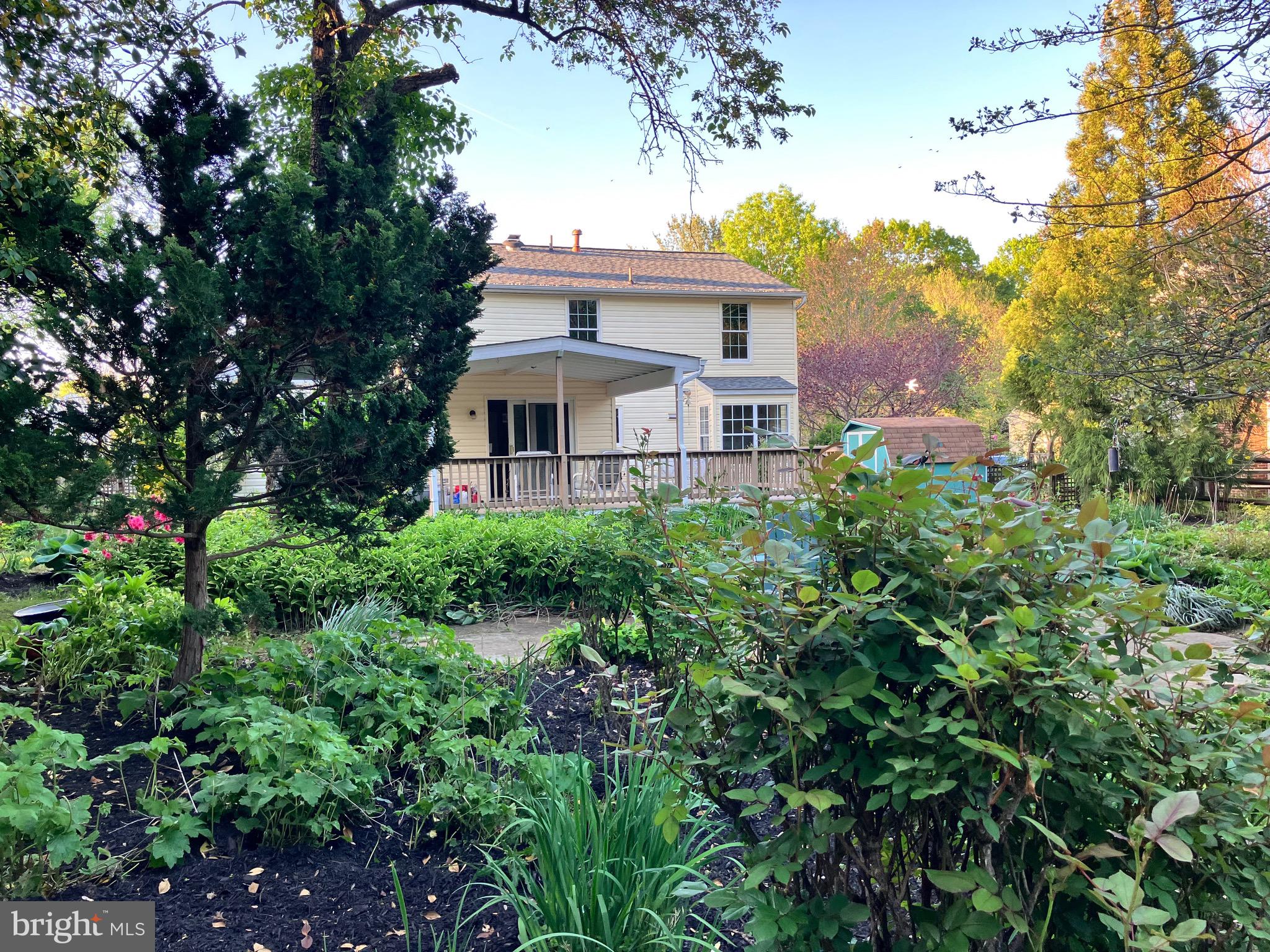 1037 Windmill Lane Silver Spring, MD 20905 - Photo 49 of 54 Gardens