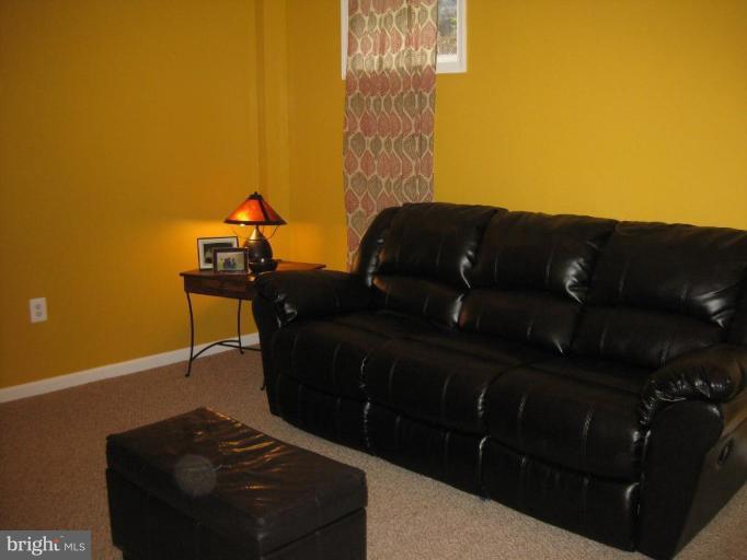 7071 Leestone Street Springfield, VA 22151 - Photo 16 of 21 Recreation Room