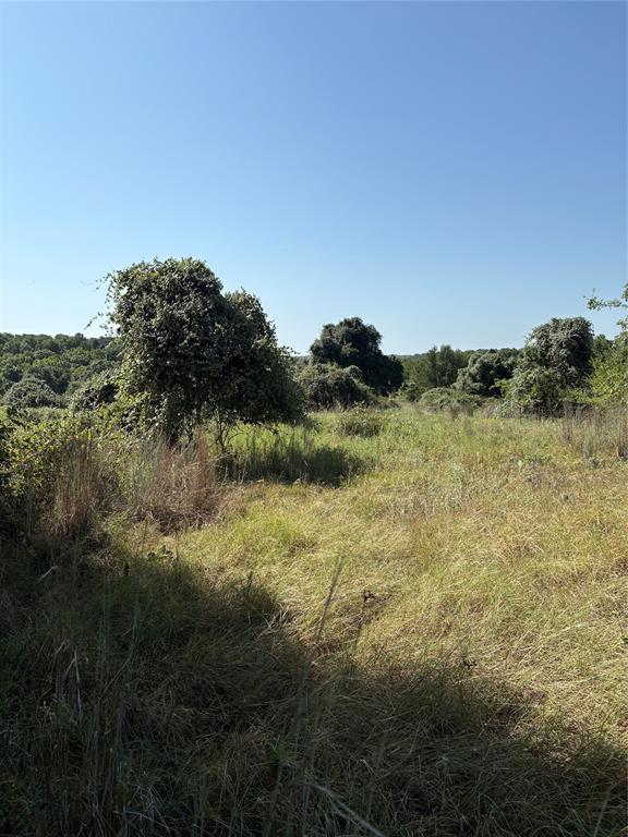 0 Gopher Road Millsap, TX 76066 - Photo 4 of 11 Expansive open field with natural vegetation and distant tree lines under a clear sky