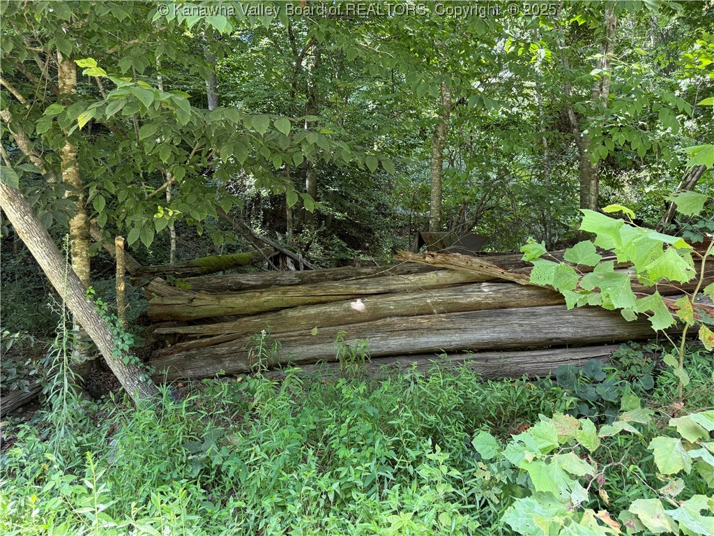 64 Upton Creek Road Spurlockville, WV 25565 - Photo 24 of 29 Gallery Image 24