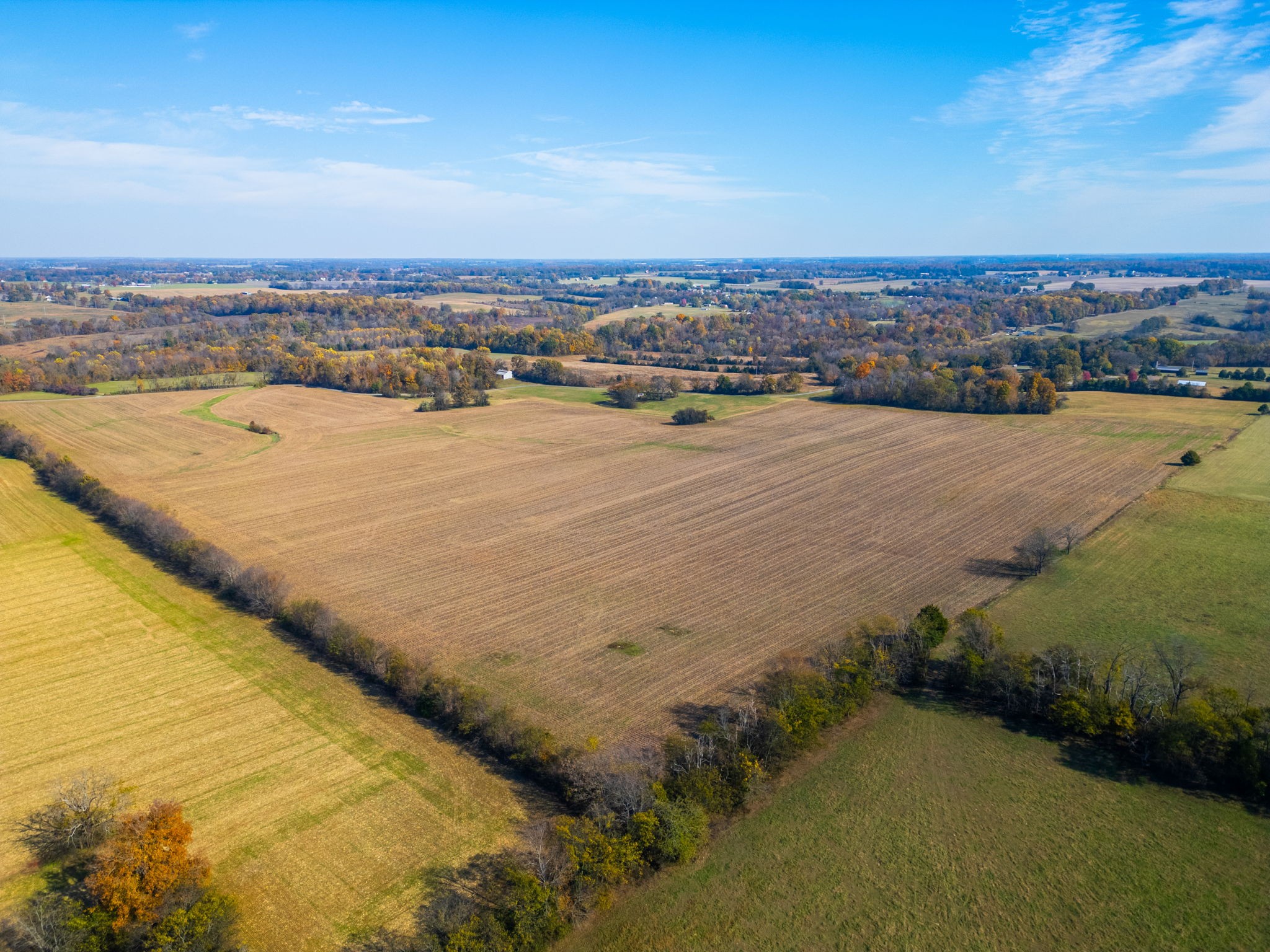 7265 Bob Carr Road Cross Plains, TN 37049 - Photo 6 of 14