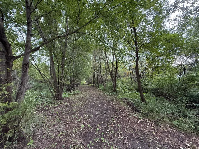 $299,000 | 37261 280th Street, Westbrook, MN 56183