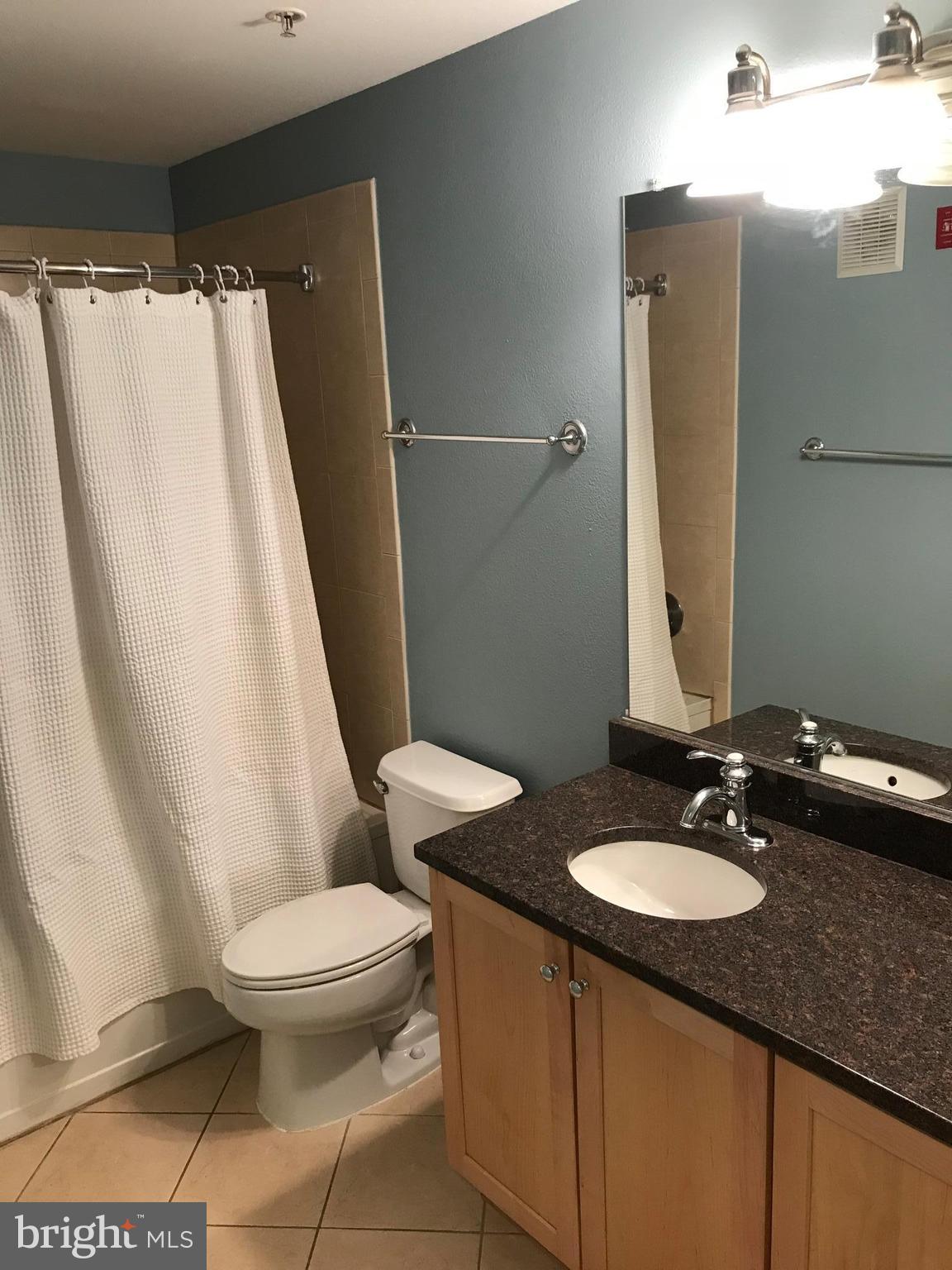 11800 Old Georgetown Road, Unit 1439 North Bethesda, MD 20852 - Photo 12 of 21 Bath