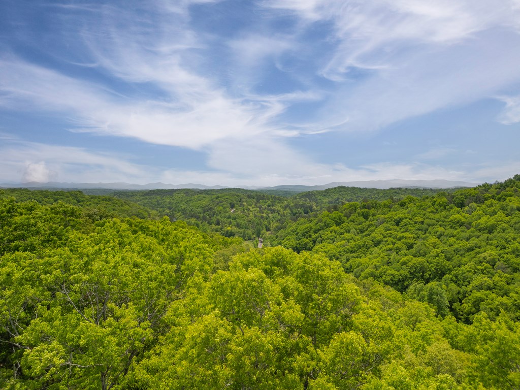 2.90-acre Galloway Road Blue Ridge, GA 30513 - Photo 11 of 15 Gallery Image 11