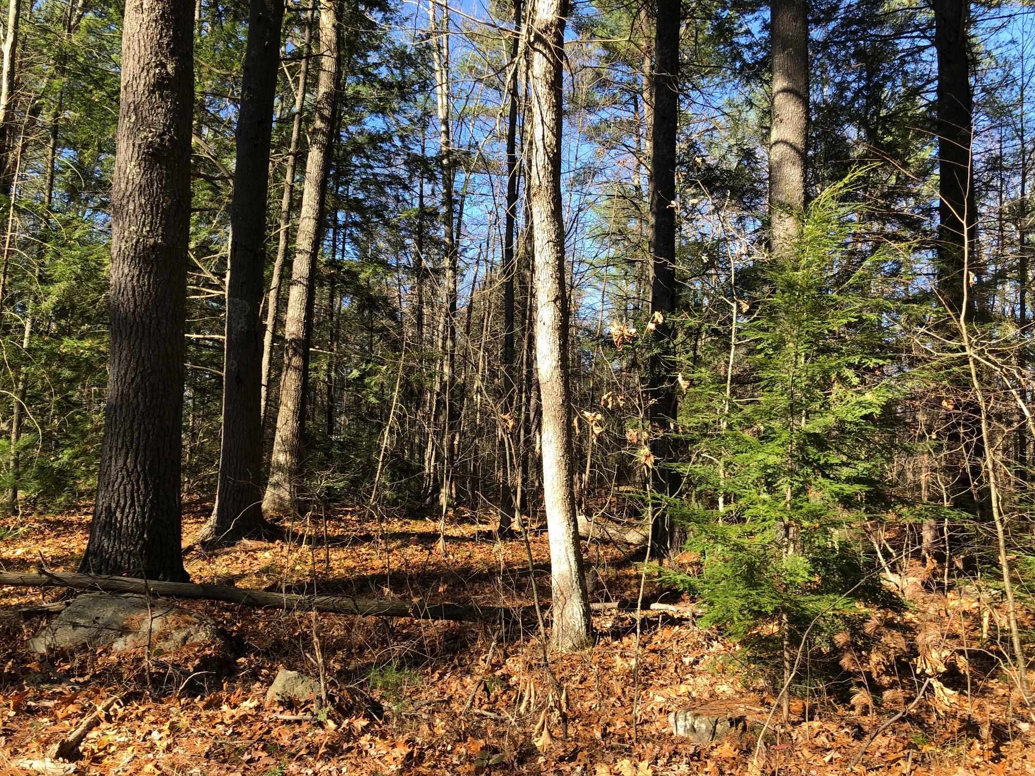 0 Curtisville Road, Unit PID 8028B Concord, NH 03301 - Photo 1 of 5