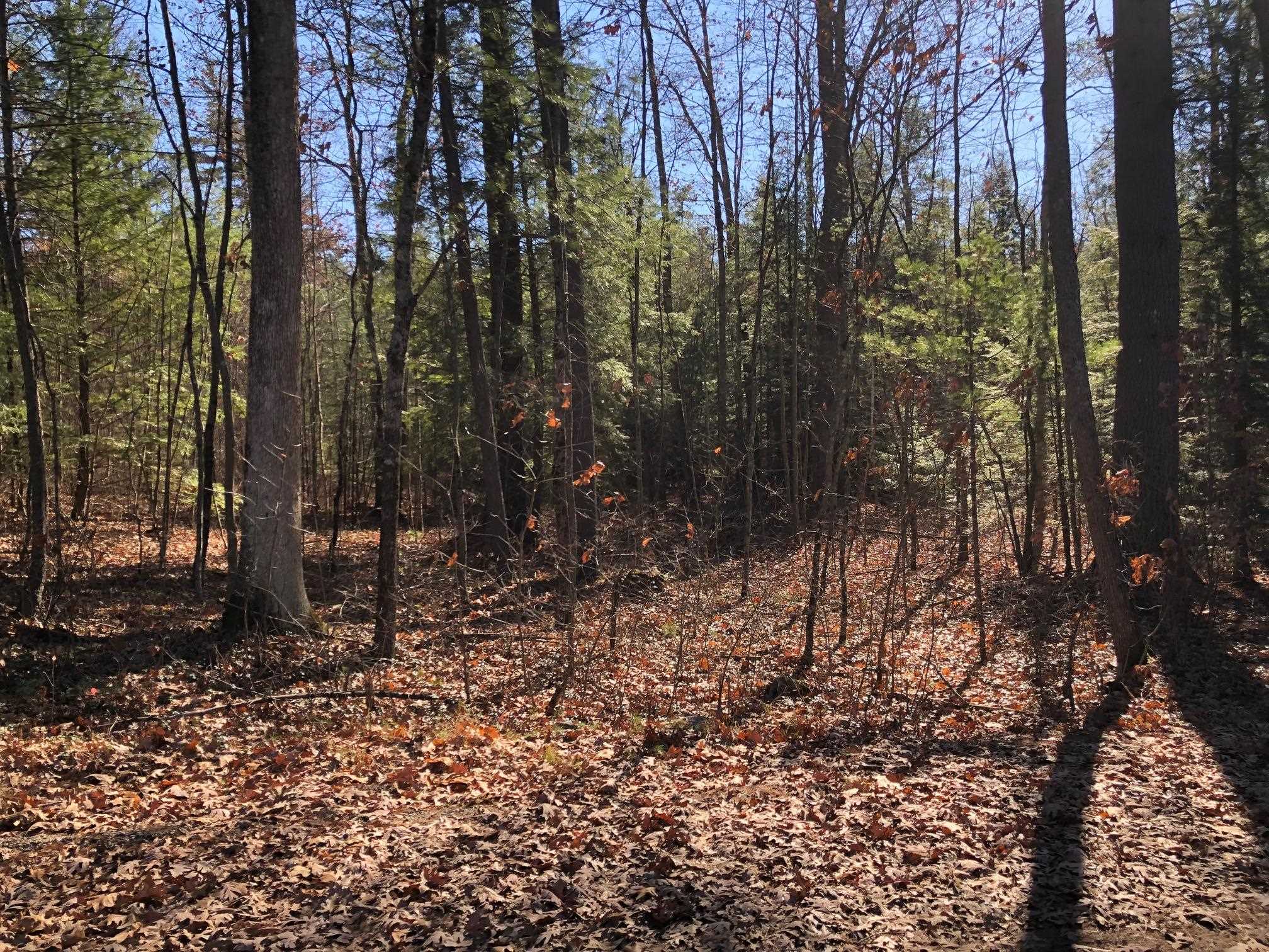 0 Curtisville Road, Unit PID 8028B Concord, NH 03301 - Photo 3 of 5
