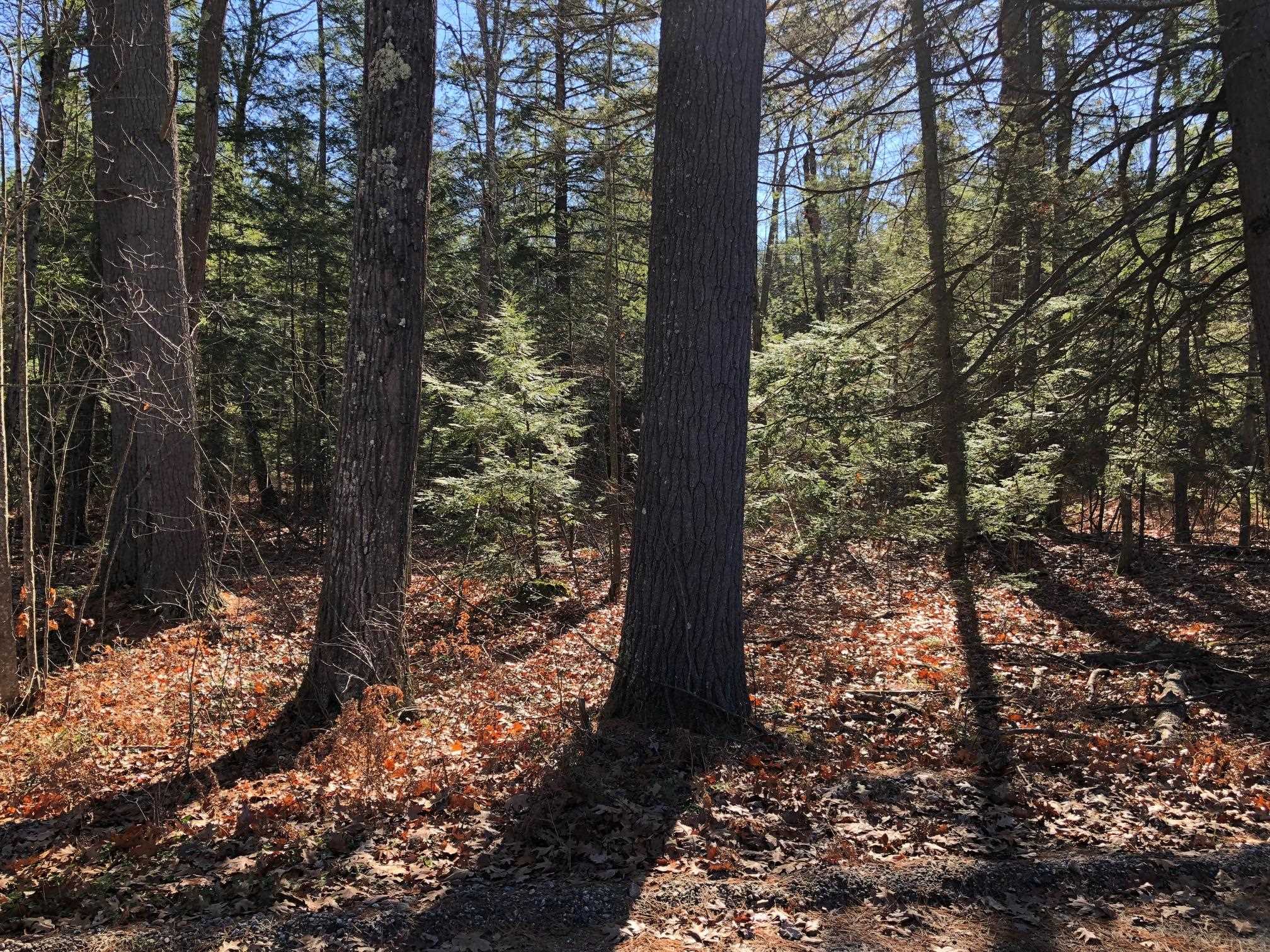 0 Curtisville Road, Unit PID 8028B Concord, NH 03301 - Photo 4 of 5