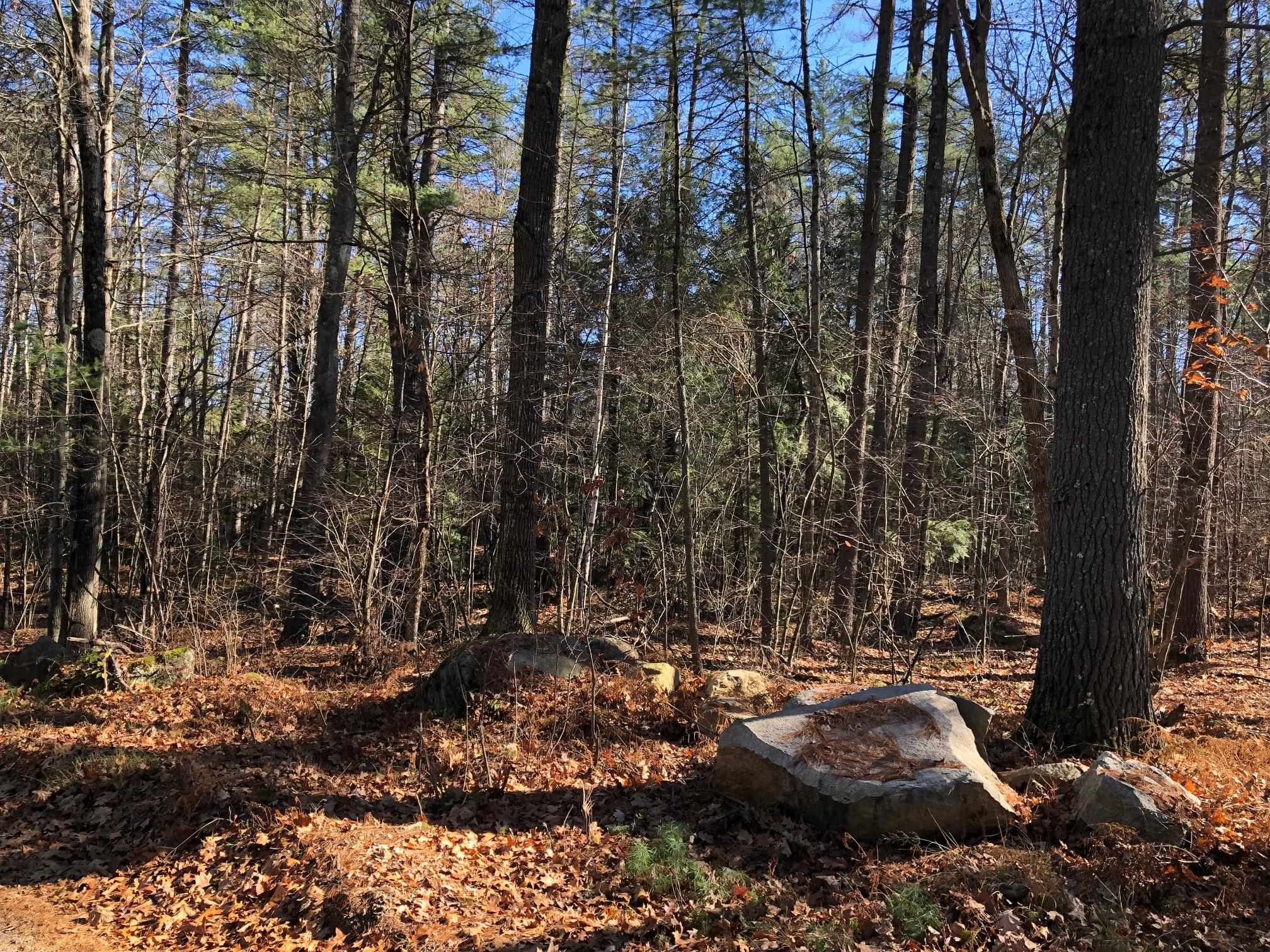 0 Curtisville Road, Unit PID 8028B Concord, NH 03301 - Photo 5 of 5