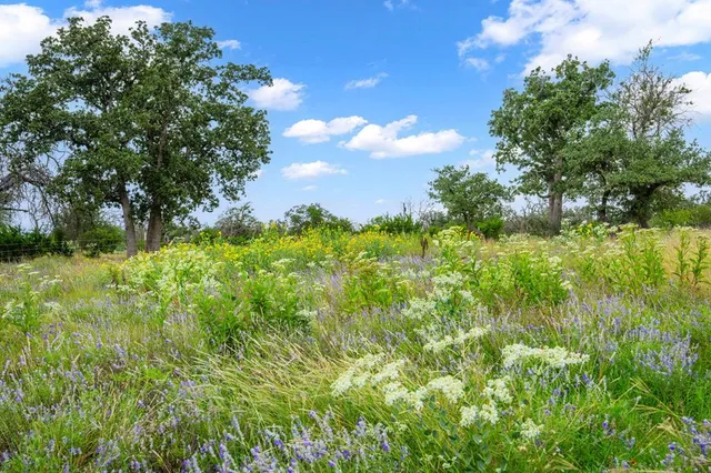 a view of a yard with table and chairs
