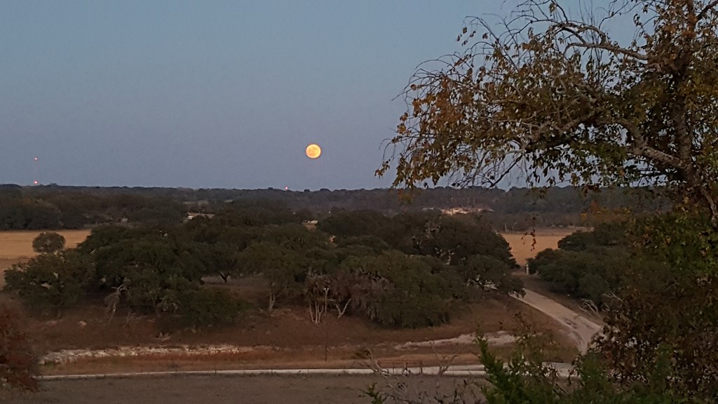 2320 Fiedler Road Harper, TX 78631 - Photo 39 of 62 a view of a city street from a yard