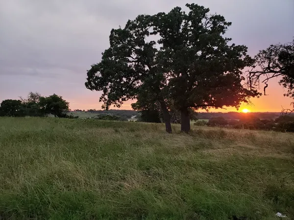 a view of outdoor space yard and slide