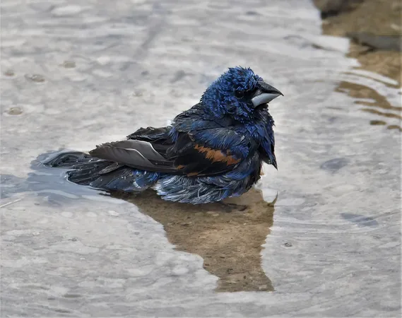 a backyard of a house with a yard and outdoor seating