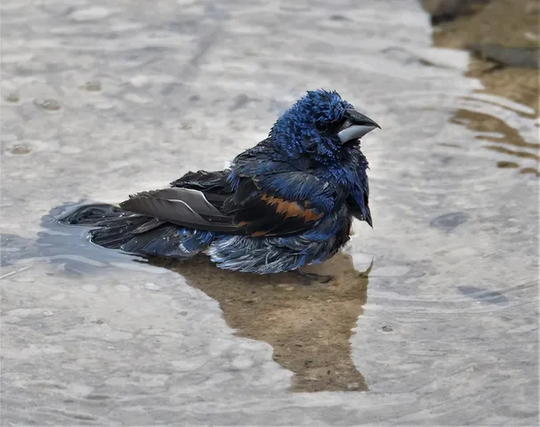 a view of a two chairs in a park