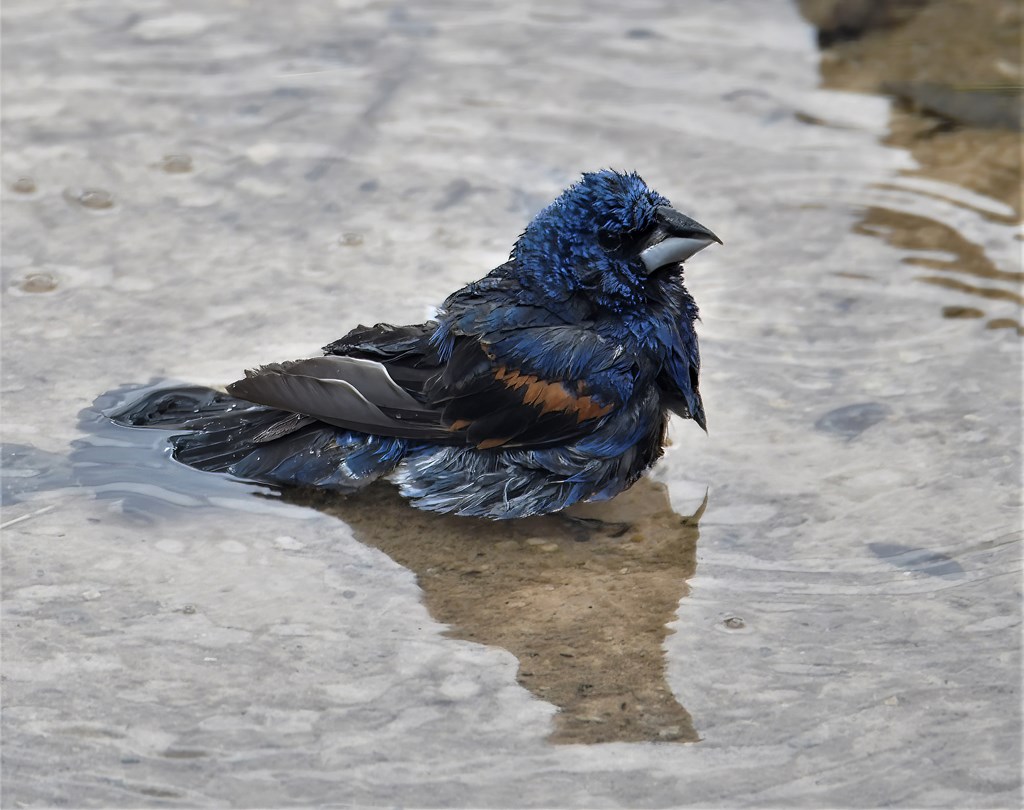 2320 Fiedler Road Harper, TX 78631 - Photo 46 of 62 a close up of a bed in a room