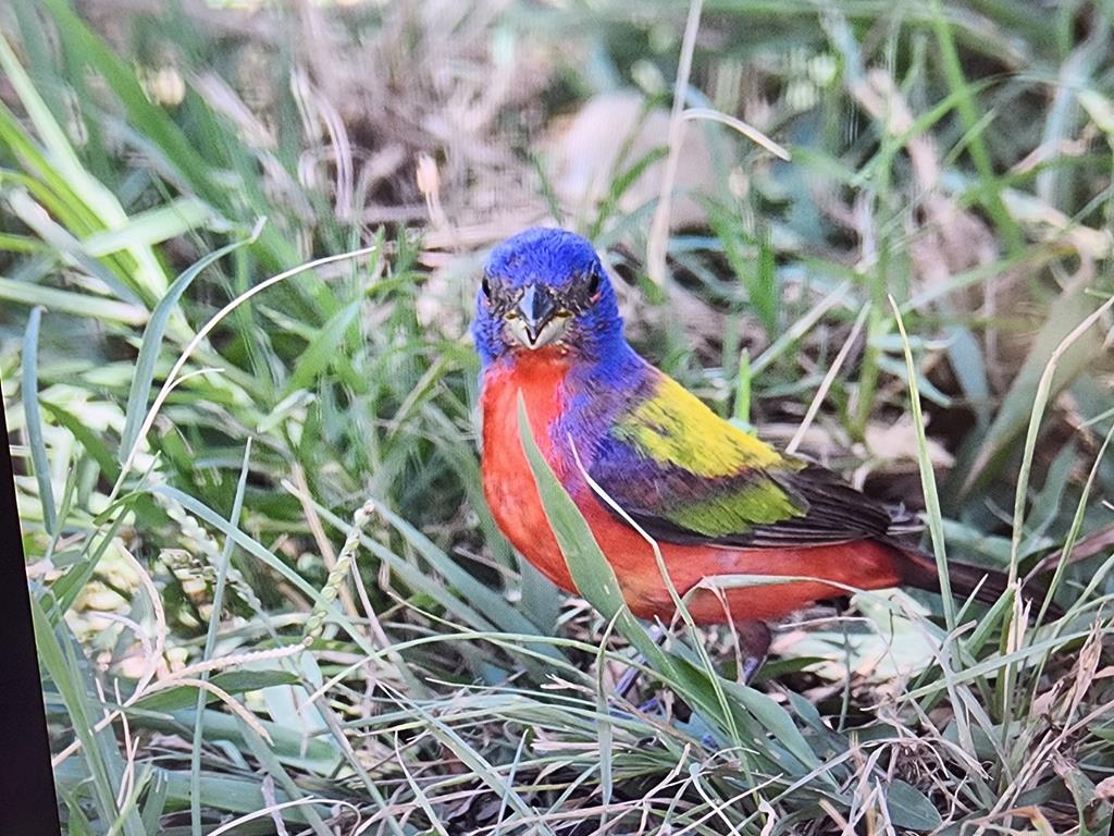 2320 Fiedler Road Harper, TX 78631 - Photo 47 of 62