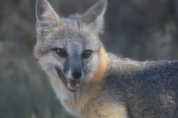 a close up of a sink