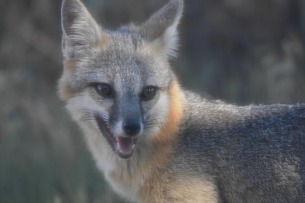 2320 Fiedler Road Harper, TX 78631 - Photo 50 of 62 a view of a glass door