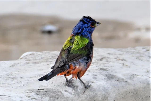 $1,750,000 | 2320 Fiedler Road, Harper, TX 78631