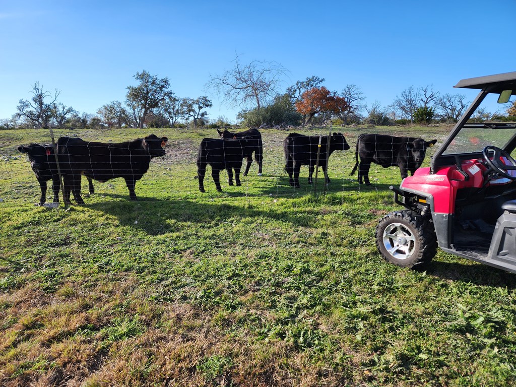 2320 Fiedler Road Harper, TX 78631 - Photo 53 of 62 a view of a two chairs in a park