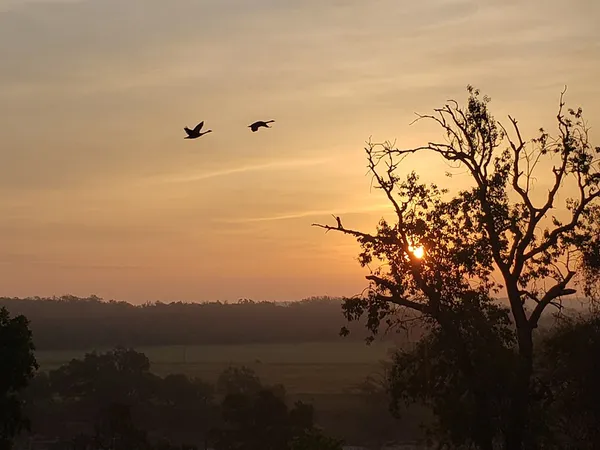 $1,750,000 | 2320 Fiedler Road, Harper, TX 78631