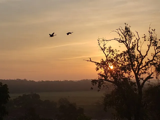 $1,750,000 | 2320 Fiedler Road, Harper, TX 78631