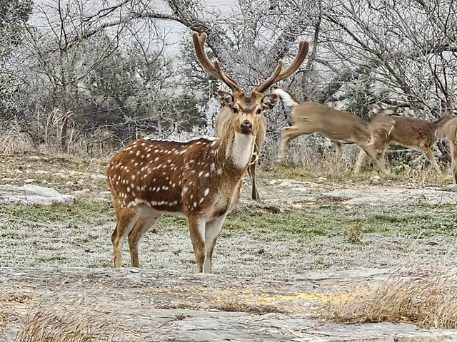 $1,750,000 | 2320 Fiedler Road, Harper, TX 78631